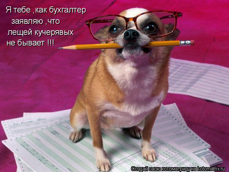 Котоматрица: Я тебе ,как бухгалтер  заявляю ,что лещей кучерявых  не бывает !!!