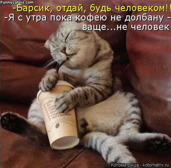 -Барсик, отдай, будь человеком!!! -Я с утра пока кофею не долбану - ваще...не человек... Котоматрица: -Барсик, отдай, будь человеком!!! -Я с утра пока кофею не долбану - ваще...не человек