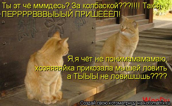 Ты эт чё мммдесь? За колбаской???!!!! Так я ПЕРРРРВВВЫЫЫЙ ПРИШЁЁЁЛ! Я,я чёт не понимамамамаю, хозяяя... Котоматрица: Ты эт чё мммдесь? За колбаской???!!!! Так я ПЕРРРРВВВЫЫЫЙ ПРИШЁЁЁЛ! Я,я чёт не понимамамамаю, хозяяяяйка прикозала мышей ловить а ТЫЫЫ не ловиш