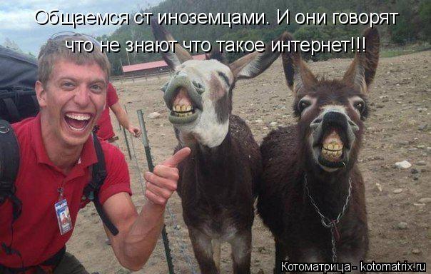 Общаемся ст иноземцами. И они говорят что не знают что такое интернет!!!... Котоматрица: Общаемся ст иноземцами. И они говорят что не знают что такое интернет!!!