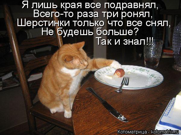 Котоматрица: Я лишь края все подравнял, Всего-то раза три ронял, Шерстинки только что все снял, Не будешь больше? Так и знал!!!