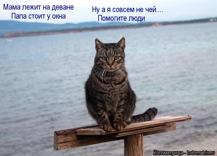Мама лежит на деване Папа стоит у окна Ну а я совсем не чей.... Помогите люди... Котоматрица: Мама лежит на деване Папа стоит у окна Ну а я совсем не чей.... Помогите люди