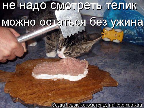 не надо смотреть телик можно остаться без ужина... Котоматрица: не надо смотреть телик можно остаться без ужина