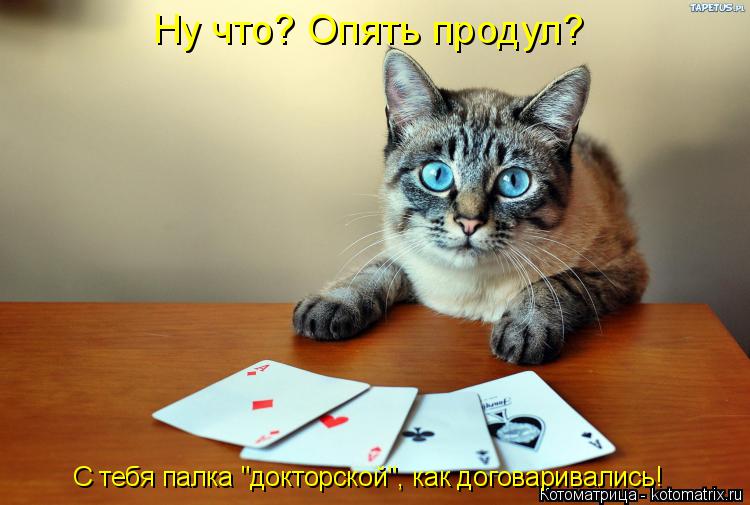 Ну что? Опять продул? С тебя палка "докторской", как договаривались!... Котоматрица: Ну что? Опять продул? С тебя палка "докторской", как договаривались!
