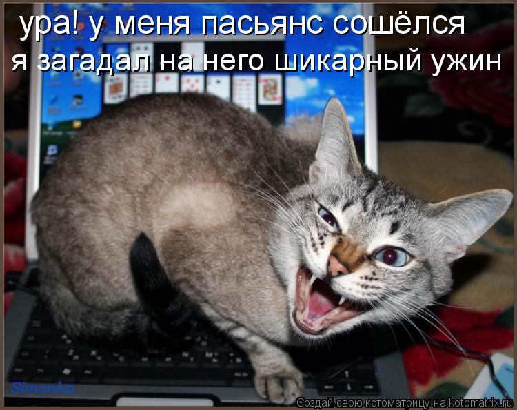 ура! у меня пасьянс сошёлся я загадал на него шикарный ужин... Котоматрица: ура! у меня пасьянс сошёлся я загадал на него шикарный ужин