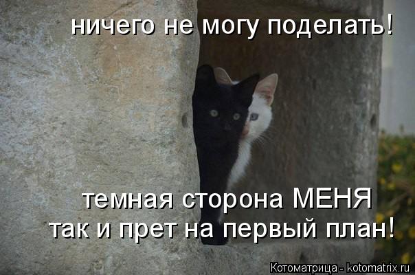 ничего не могу поделать! темная сторона МЕНЯ так и прет на первый план!... Котоматрица: ничего не могу поделать! темная сторона МЕНЯ так и прет на первый план!