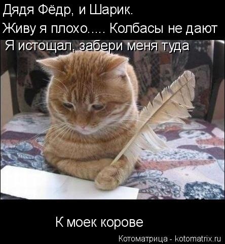 Дядя Фёдр, и Шарик. Живу я плохо..... Колбасы не дают Я истощал, забери меня туда К моек корове... Котоматрица: Дядя Фёдр, и Шарик. Живу я плохо..... Колбасы не дают Я истощал, забери меня туда К моек корове