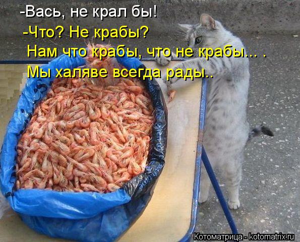 -Вась, не крал бы! -Что? Не крабы? Нам что крабы, что не крабы... . Мы халяве всегда рады..... Котоматрица: -Вась, не крал бы! -Что? Не крабы? Нам что крабы, что не крабы... . Мы халяве всегда рады..