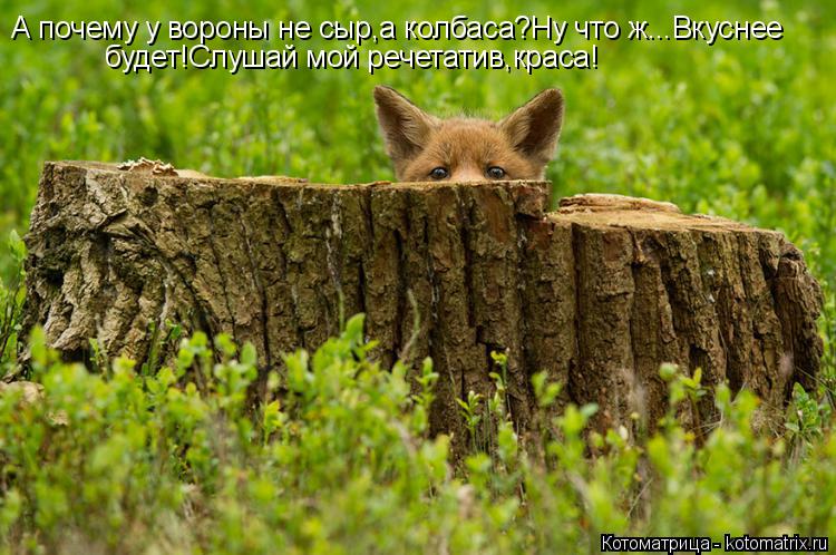 А почему у вороны не сыр,а колбаса?Ну что ж...Вкуснее будет!Слушай мой речетатив,краса!... Котоматрица: А почему у вороны не сыр,а колбаса?Ну что ж...Вкуснее будет!Слушай мой речетатив,краса!