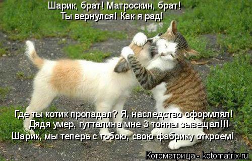 Шарик, брат! Матроскин, брат! Ты вернулся! Как я рад! Где ты котик пропадал? Я, наследство оформлял! ... Котоматрица: Шарик, брат! Матроскин, брат! Ты вернулся! Как я рад! Где ты котик пропадал? Я, наследство оформлял! Дядя умер, гутталина мне 3 тонны зывещал!!! Ш