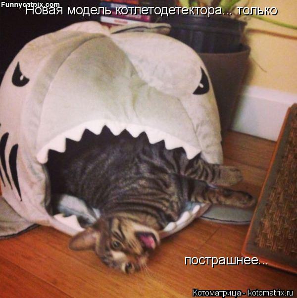 Котоматрица: Новая модель котлетодетектора... только пострашнее...