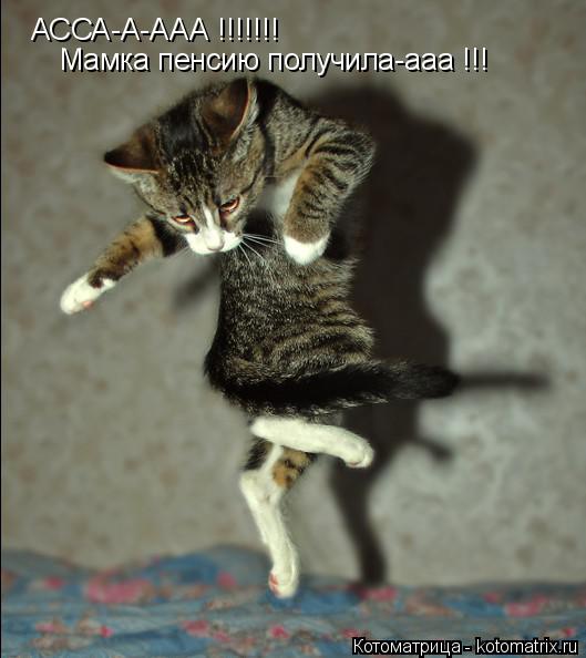 Котоматрица: АССА-А-ААА !!!!!!! Мамка пенсию получила-ааа !!!