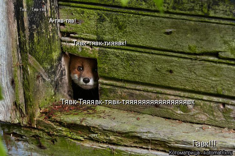 Тяв... Тяв-тяв... А-тяв-тяв!.. Тявк-тявк-тияявк! Тявк-Тяяявк-тявк-тяяяяяяяяяяяяяяявк Гавк!!!... Котоматрица: Тяв... Тяв-тяв... А-тяв-тяв!.. Тявк-тявк-тияявк! Тявк-Тяяявк-тявк-тяяяяяяяяяяяяяяявк Гавк!!!