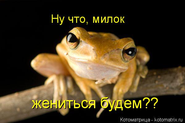 Котоматрица: Ну что, милок жениться будем??