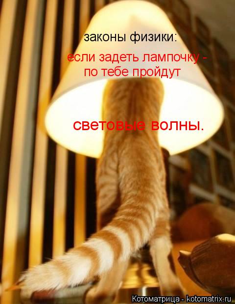 законы физики: если задеть лампочку - по тебе пройдут световые волны.... Котоматрица: законы физики: если задеть лампочку - по тебе пройдут световые волны.