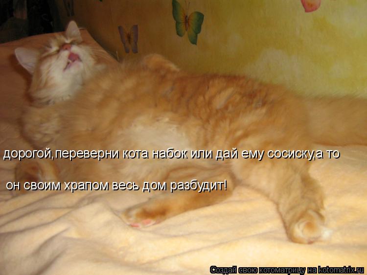 он своим храпом весь дом разбудит! дорогой,переверни кота набок или дай ему сосиску,а то... Котоматрица: он своим храпом весь дом разбудит! дорогой,переверни кота набок или дай ему сосиску,а то