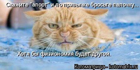 Скажите "апорт" и по привычке бросьте палочку... Хотя бы физиономия будет другой.... Котоматрица: Скажите "апорт" и по привычке бросьте палочку... Хотя бы физиономия будет другой.