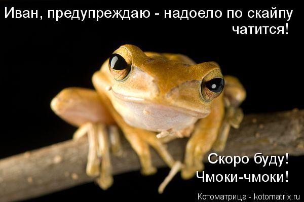 Иван, предупреждаю - надоело по скайпу чатится! Скоро буду! Чмоки-чмоки!... Котоматрица: Иван, предупреждаю - надоело по скайпу чатится! Скоро буду! Чмоки-чмоки!
