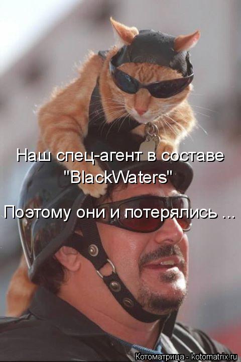 Котоматрица: Наш спец-агент в составе "BlackWaters" Поэтому они и потерялись ...