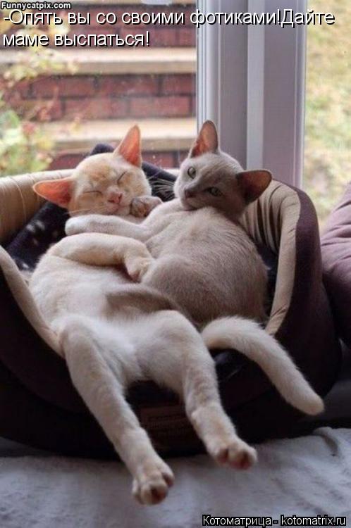 -Опять вы со своими фотиками!Дайте маме выспаться!... Котоматрица: -Опять вы со своими фотиками!Дайте маме выспаться!