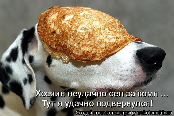 Тут я удачно подвернулся! Хозяин неудачно сел за комп ...... Котоматрица: Тут я удачно подвернулся! Хозяин неудачно сел за комп ...