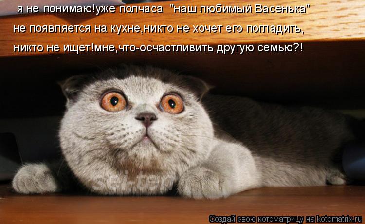 я не понимаю!уже полчаса "наш любимый Васенька" не появляется на кухне,никто не хочет его погладить... Котоматрица: я не понимаю!уже полчаса "наш любимый Васенька" не появляется на кухне,никто не хочет его погладить, никто не ищет!мне,что-осчастливить дру