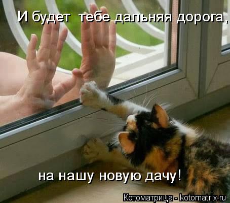 И будет тебе дальняя дорога, на нашу новую дачу!... Котоматрица: И будет тебе дальняя дорога, на нашу новую дачу!