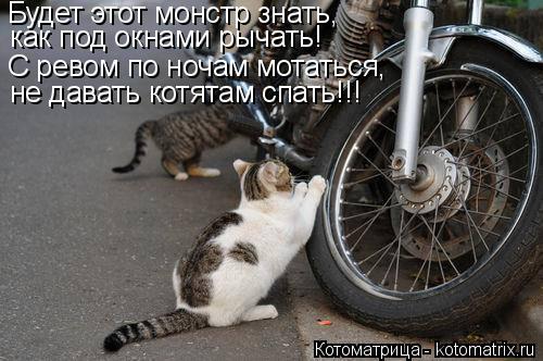 Будет этот монстр знать, как под окнами рычать! С ревом по ночам мотаться, не давать котятам спать!!!... Котоматрица: Будет этот монстр знать, как под окнами рычать! С ревом по ночам мотаться, не давать котятам спать!!!