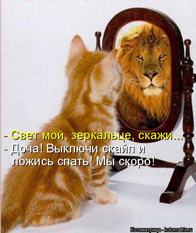 - Свет мой, зеркальце, скажи... - Доча! Выключи скайп и ложись спать! Мы скоро!... Котоматрица: - Свет мой, зеркальце, скажи... - Доча! Выключи скайп и ложись спать! Мы скоро!