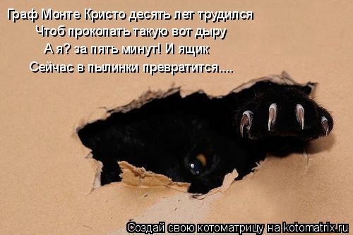 Граф Монте Кристо десять лет трудился Чтоб прокопать такую вот дыру А я? за пять минут! И ящик Сейчас... Котоматрица: Граф Монте Кристо десять лет трудился Чтоб прокопать такую вот дыру А я? за пять минут! И ящик Сейчас в пылинки превратится....