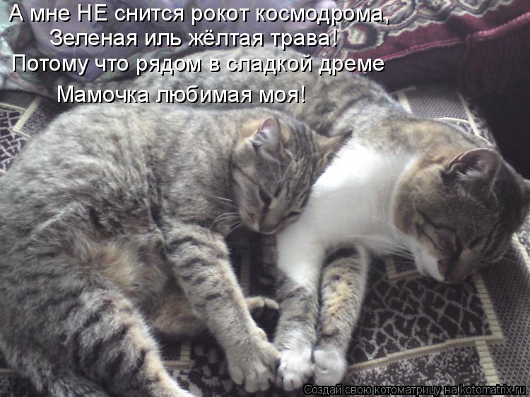А мне НЕ снится рокот космодрома, Зеленая иль жёлтая трава! Потому что рядом в сладкой дреме Мамочка ... Котоматрица: А мне НЕ снится рокот космодрома, Зеленая иль жёлтая трава! Потому что рядом в сладкой дреме Мамочка любимая моя!