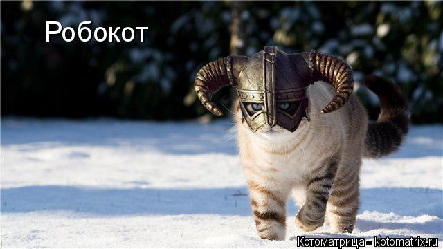 Робокот... Котоматрица: Робокот