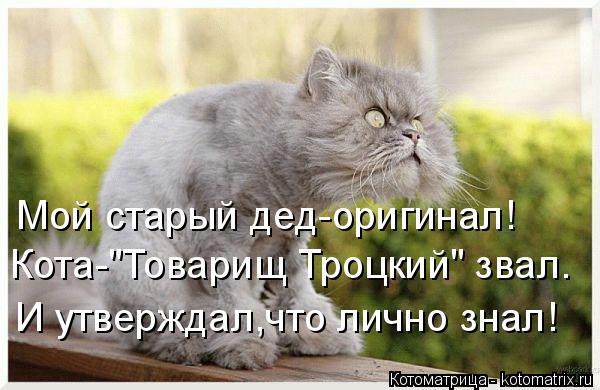 Мой старый дед-оригинал! Кота-"Товарищ Троцкий" звал. И утверждал,что лично знал!... Котоматрица: Мой старый дед-оригинал! Кота-"Товарищ Троцкий" звал. И утверждал,что лично знал!