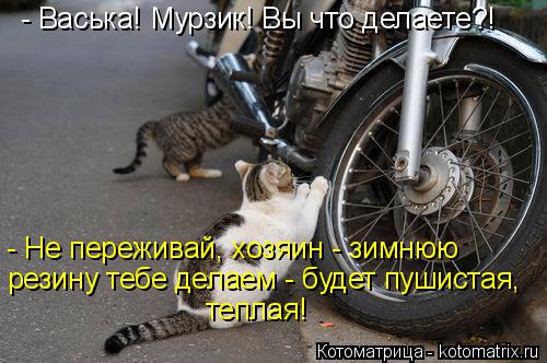 Котоматрица: - Васька! Мурзик! Вы что делаете?! - Не переживай, хозяин - зимнюю  резину тебе делаем - будет пушистая, теплая!