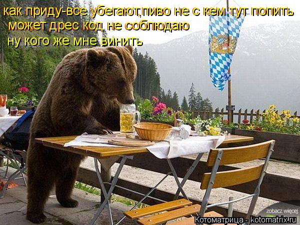 как приду-все убегают,пиво не с кем тут попить как приду-все убегают,пиво не с кем тут попить может д... Котоматрица: как приду-все убегают,пиво не с кем тут попить как приду-все убегают,пиво не с кем тут попить может дрес код не соблюдаю может дрес код не соб