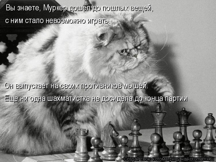 Вы знаете, Муркер дошел до пошлых вещей, с ним стало невозможно играть. Он выпускает на своих проти... Котоматрица: Вы знаете, Муркер дошел до пошлых вещей, с ним стало невозможно играть. Он выпускает на своих противников мышей. Еще ни одна шахматистка не