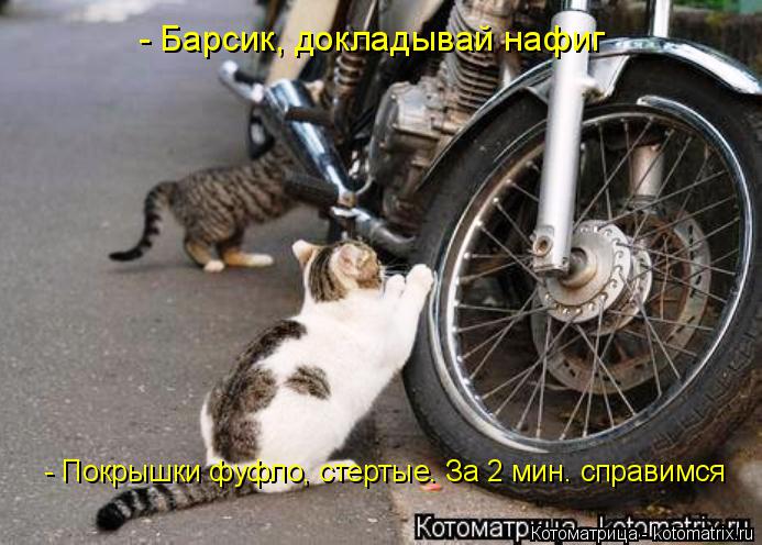 - Барсик, докладывай нафиг - Покрышки фуфло, стертые. За 2 мин. справимся... Котоматрица: - Барсик, докладывай нафиг - Покрышки фуфло, стертые. За 2 мин. справимся