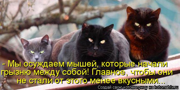 - Мы осуждаем мышей, которые начали грызню между собой! Главное, чтобы они не стали от этого менее вк... Котоматрица: - Мы осуждаем мышей, которые начали грызню между собой! Главное, чтобы они не стали от этого менее вкусными...