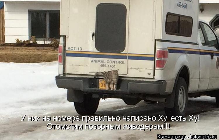 У них на номере правильно написано Ху. есть Ху! Отомстим позорным живодерам!!!... Котоматрица: У них на номере правильно написано Ху. есть Ху! Отомстим позорным живодерам!!!