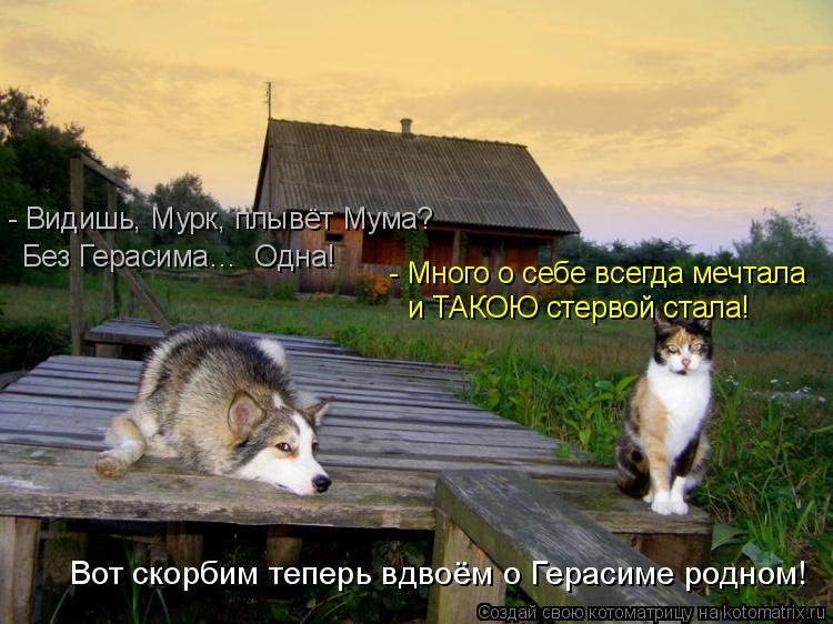 Без Герасима… Одна! - Много о себе всегда мечтала и ТАКОЮ стервой стала! Вот скорбим теперь вдвоём о... Котоматрица: Без Герасима… Одна! - Много о себе всегда мечтала и ТАКОЮ стервой стала! Вот скорбим теперь вдвоём о Герасиме родном! - Видишь, Мурк, плывёт М