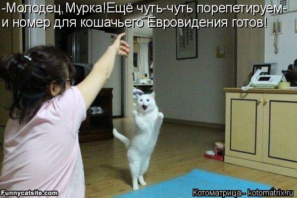 -Молодец,Мурка!Ещё чуть-чуть порепетируем- и номер для кошачьего Евровидения готов!... Котоматрица: -Молодец,Мурка!Ещё чуть-чуть порепетируем- и номер для кошачьего Евровидения готов!