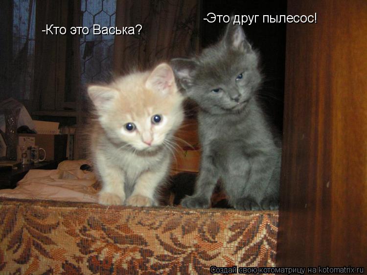 -Кто это Васька? -Кто это Васька? ... Котоматрица: -Кто это Васька? -Кто это Васька? -Это друг пылесос!