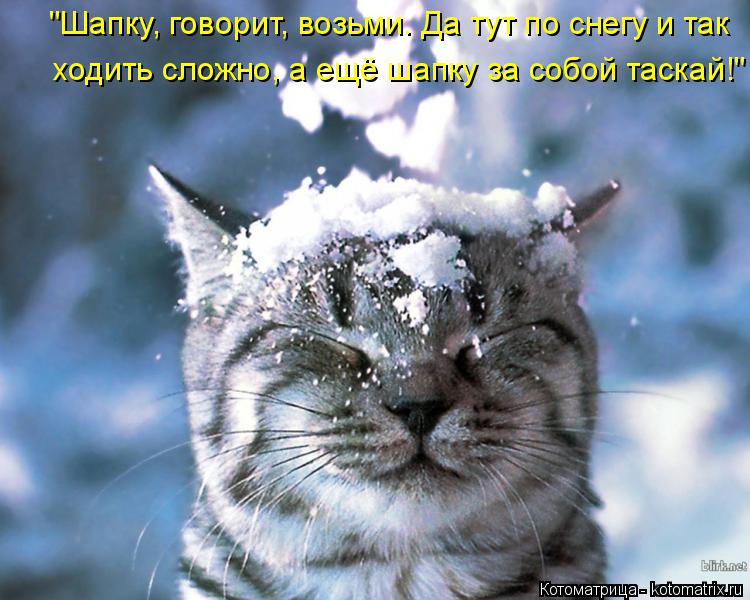 "Шапку, говорит, возьми. Да тут по снегу и так ходить сложно, а ещё шапку за собой таскай!"... Котоматрица: "Шапку, говорит, возьми. Да тут по снегу и так ходить сложно, а ещё шапку за собой таскай!"