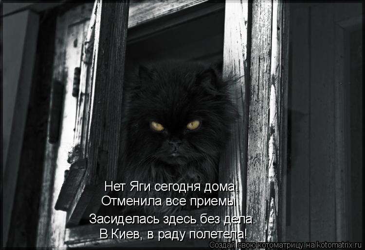 В Киев, в раду полетела! Засиделась здесь без дела. Нет Яги сегодня дома! Отменила все приемы.... Котоматрица: В Киев, в раду полетела! Засиделась здесь без дела. Нет Яги сегодня дома! Отменила все приемы.