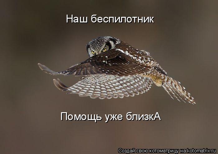 Наш беспилотник Помощь уже близкА... Котоматрица: Наш беспилотник Помощь уже близкА