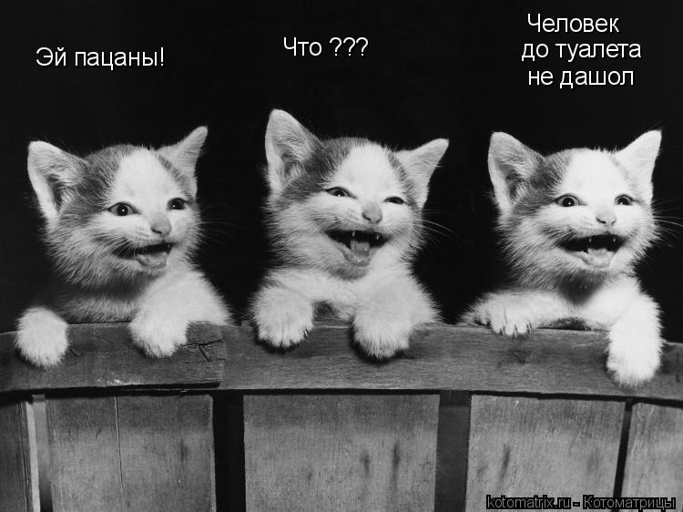 Эй пацаны! Что ??? Человек до туалета не дашол... Котоматрица: Эй пацаны! Что ??? Человек до туалета не дашол