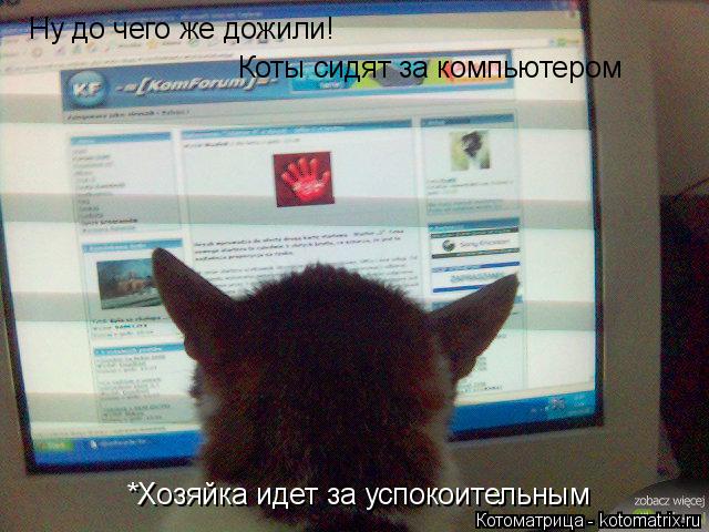 Ну до чего же дожили! Коты сидят за компьютером *Хозяйка идет за успокоительным... Котоматрица: Ну до чего же дожили! Коты сидят за компьютером *Хозяйка идет за успокоительным