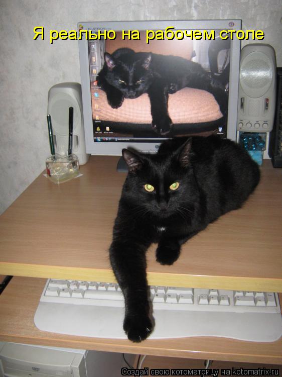 Я реально на рабочем столе... Котоматрица: Я реально на рабочем столе
