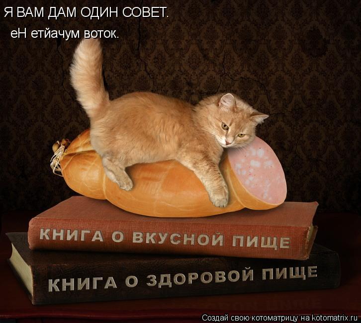 Котоматрица: Я ВАМ ДАМ ОДИН СОВЕТ. еН етйачум воток.