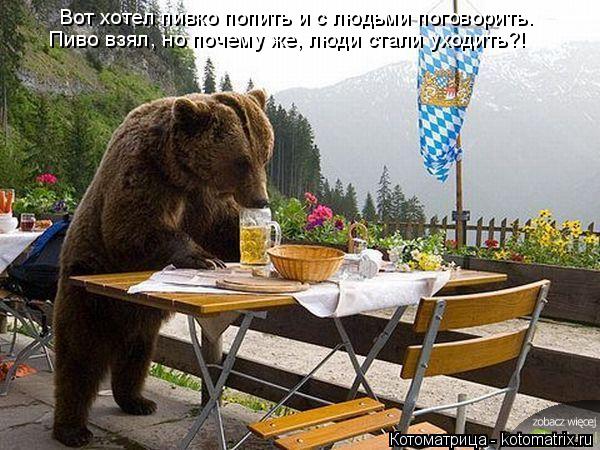 Вот хотел пивко попить и с людьми поговорить. Пиво взял, но почему же, люди стали уходить?!... Котоматрица: Вот хотел пивко попить и с людьми поговорить. Пиво взял, но почему же, люди стали уходить?!